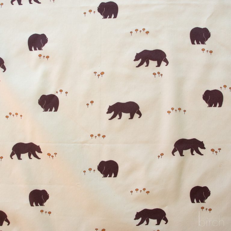 Bear Camp